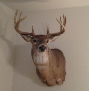 Meet your Posher, Gary